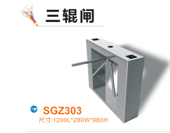 伊春三辊闸四号