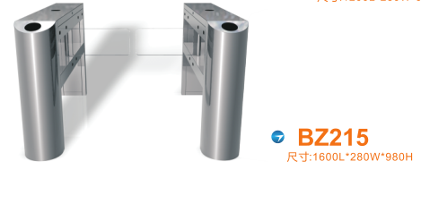 伊春摆闸BZ215
